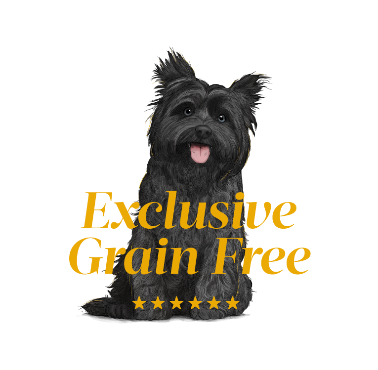 Gosbi exclusive grain free puppy best sale